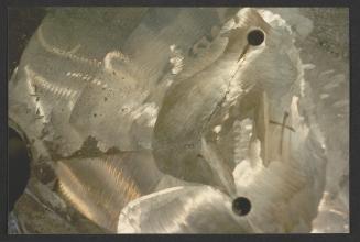 Malta Drydocks photo during the Conversion of m/t "Northia" to FPSO "IKDAM"