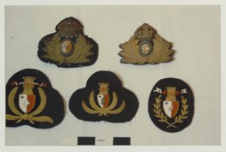 [Unidentified] army badges