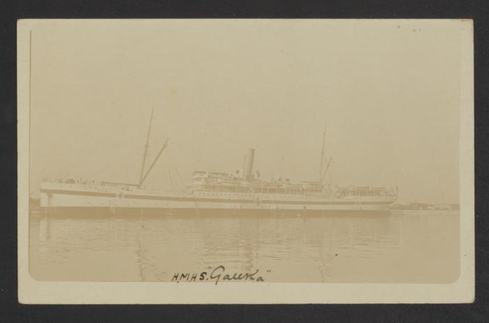 HMHS Gauka