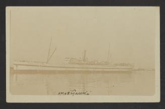 HMHS Gauka