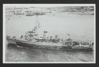 HMS Pelorus (J291)