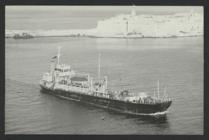 RFA Whimbrel