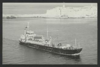 RFA Whimbrel