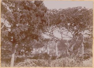 Side view of the portico leading to a garden at Bighi's Ex-Royal Naval Hospital, Kalkara