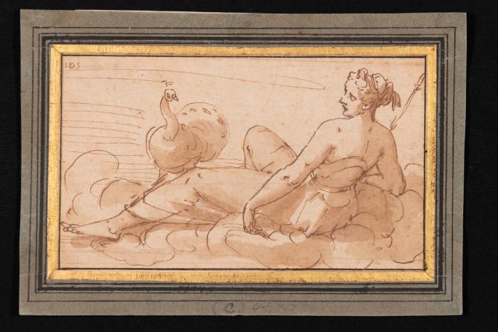 Juno with the peacock